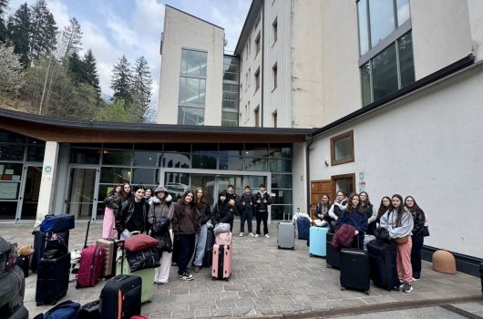 d47aa85b-c4b8-4f6e-ab9f-63644b9a79f5